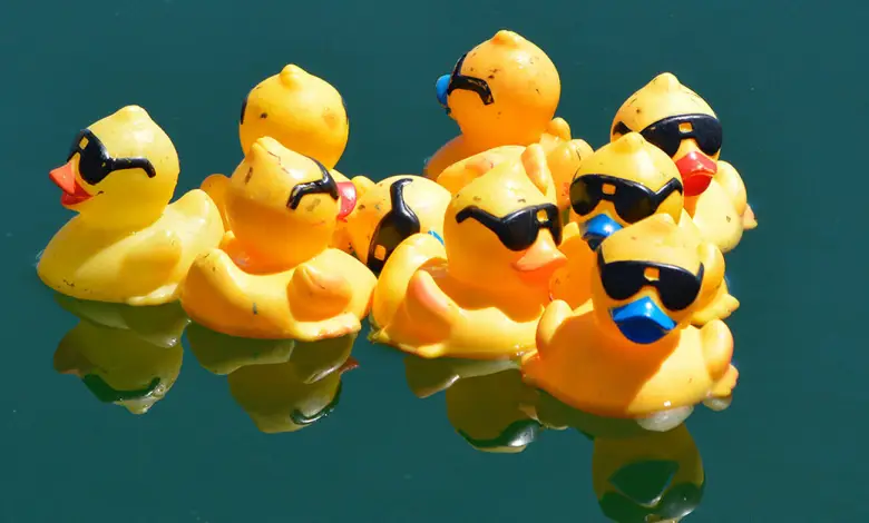 The Optimist Duck Race will be held next month to benefit Red Deer’s youth programs